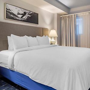 Suite mit 3 Schlafzimmern